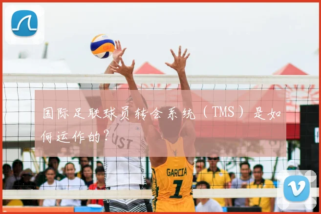 国际足联球员转会系统(TMS)是如何运作的?