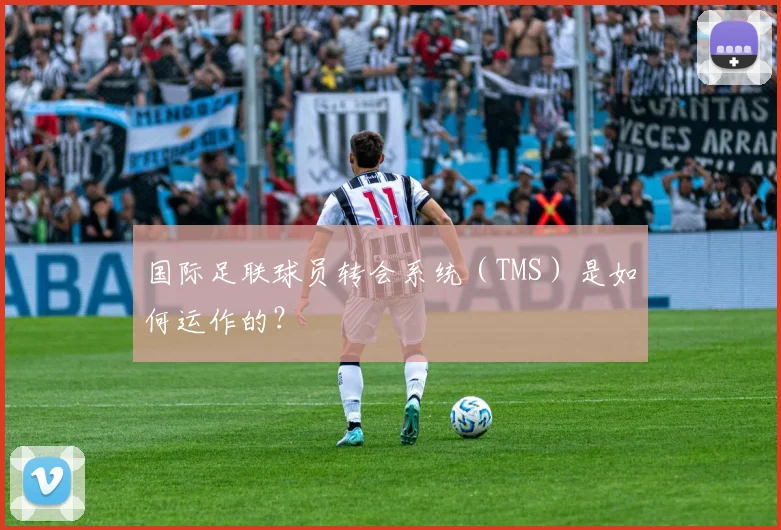 国际足联球员转会系统(TMS)是如何运作的?