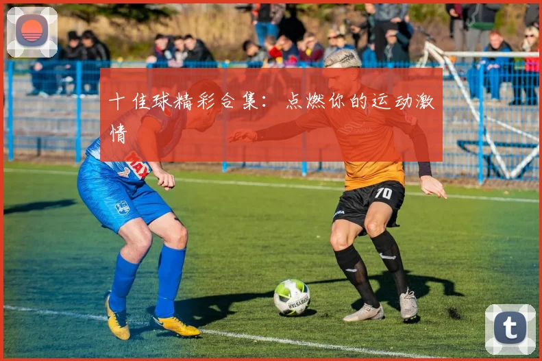 十佳球精彩合集：点燃你的运动激情